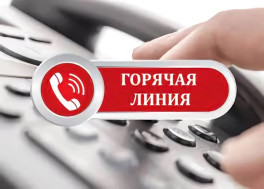 Горячая линия по вопросам детского отдыха.